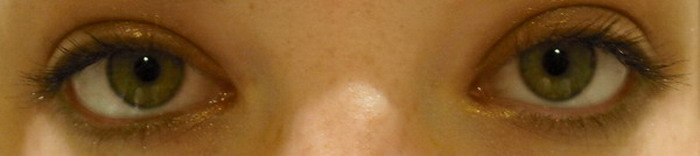 DSCF0028a.jpg