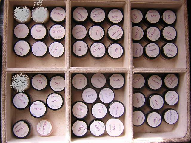 SN eyeshadows Jan 2010.jpg