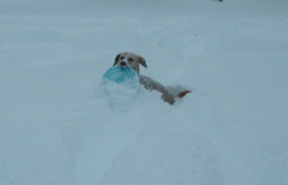SNOW 011.JPG