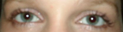 Both Eyes: Wink Wink lash to brow, Naughty over lid, Plush to darken the outer corners, Mink to line<br />The Mascara is two different brown mascaras (upper and lower) from another company